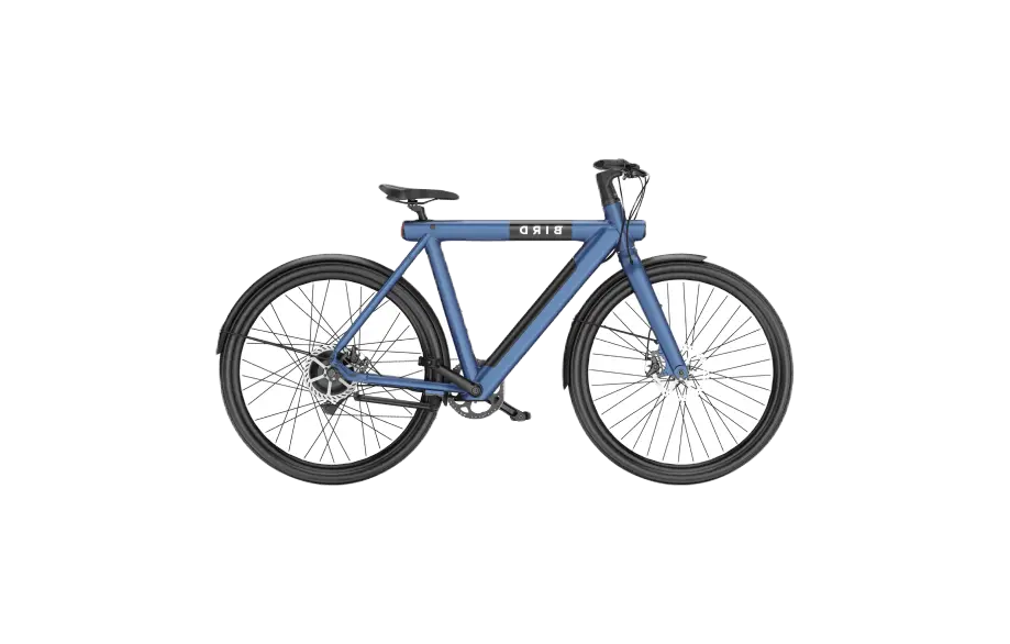 RoadMaster RacerX 700